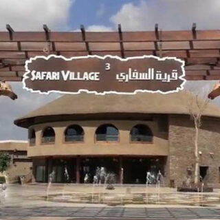 Safari Park Journey and Dubai Frame Combo