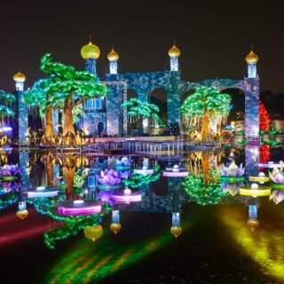 Glow Garden