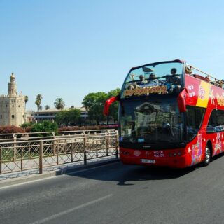 City Sightseeing Tour