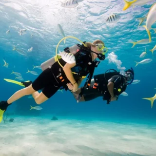 Scuba Diving Tour