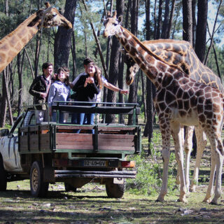 Green Planet and Safari Park Journey Combo