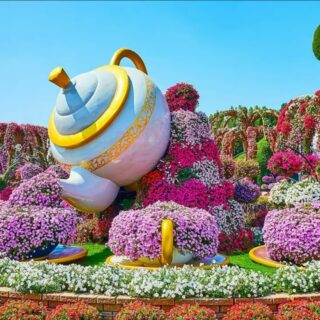 IMG Worlds with Free Dubai Miracle Garden Tickets