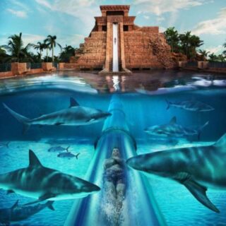 Atlantis Aquaventure Waterpark